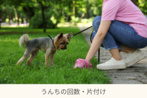 犬のフン掃除