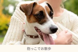 犬を抱いている