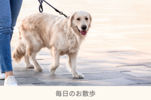 犬の散歩